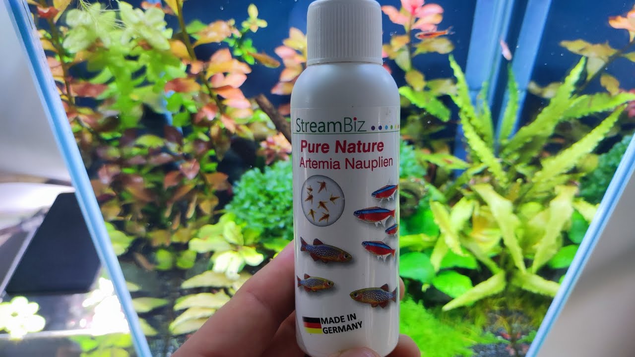 Nowy Pokarm dla moich rybek ! - StreamBiz - Pure Nature Artemia Nauplien