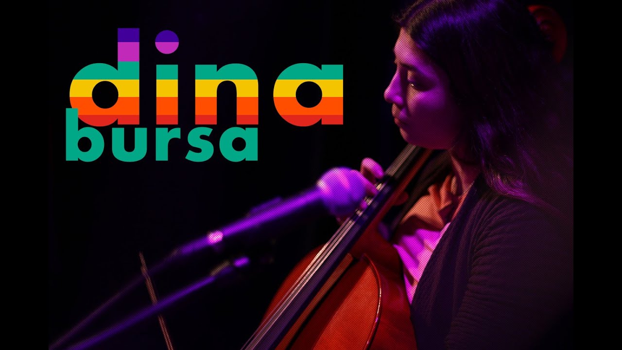 Dina Ensemble / Aguş