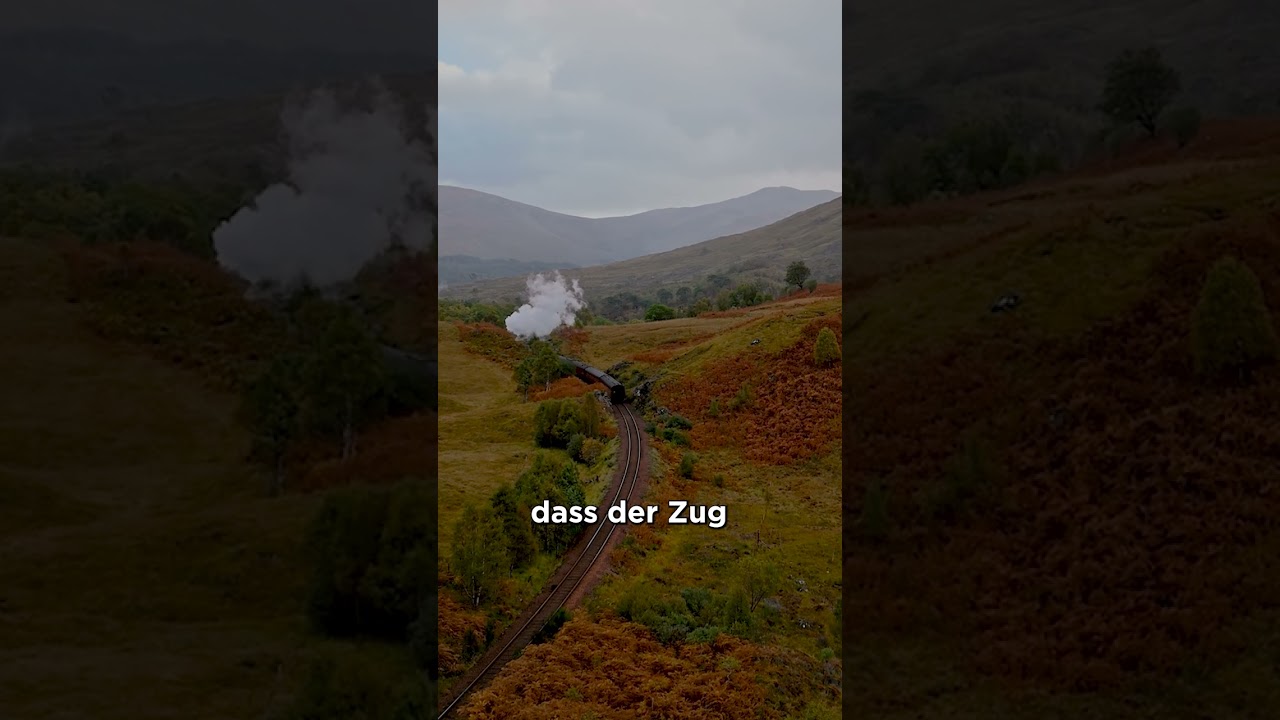 Handbuch f&uuml;r den vorsichtigen Reisenden durch das &Ouml;dland