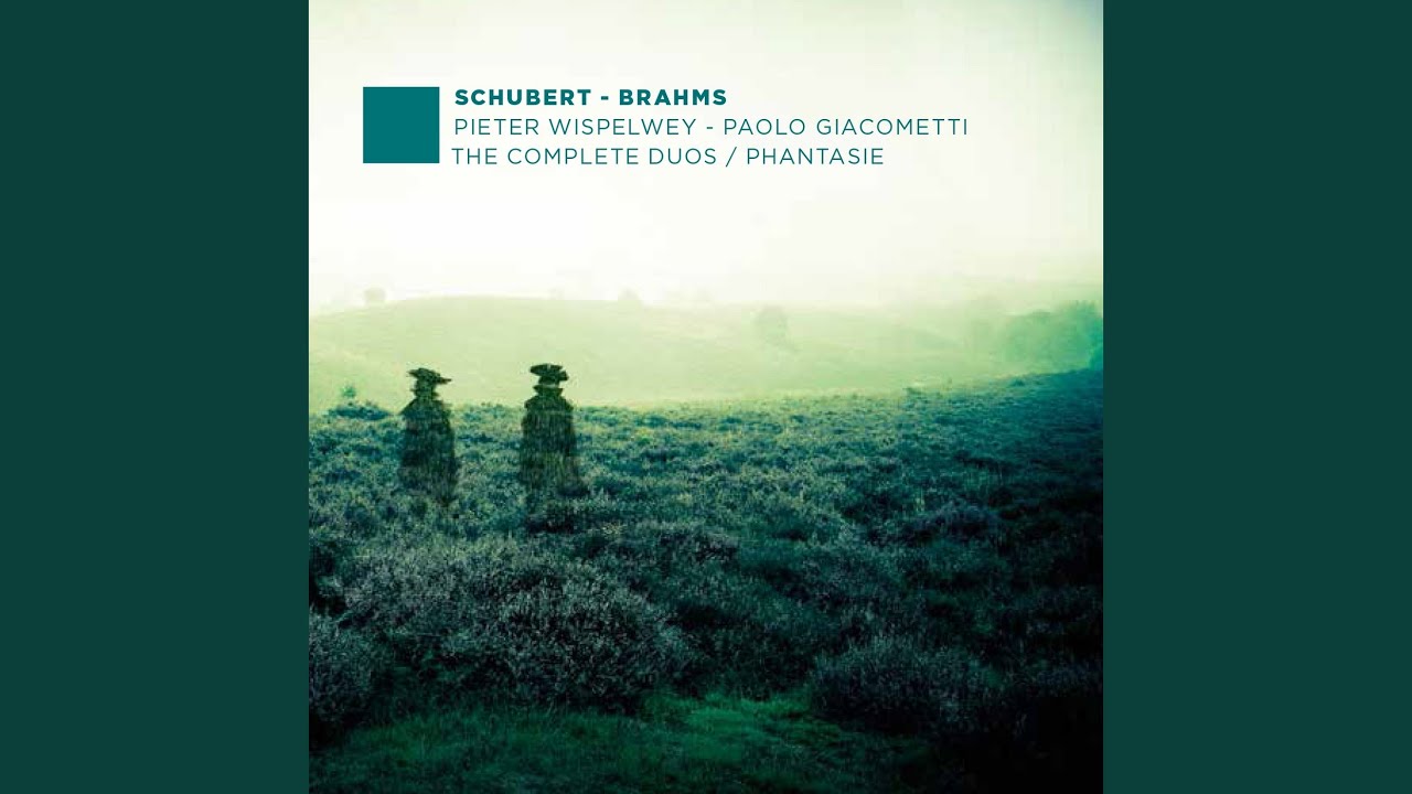 Fantasy in C for Cello and Piano, D. 934: Andantino