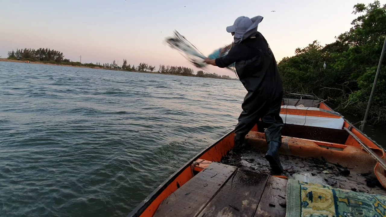 Pesca com boto em Laguna SC