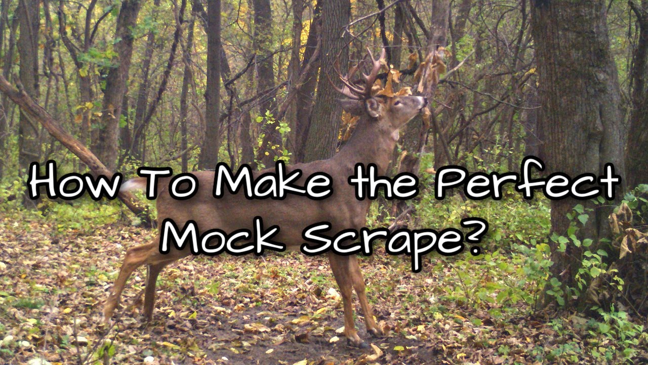 How to Create the Perfect Mock Scrape this Deer Season!