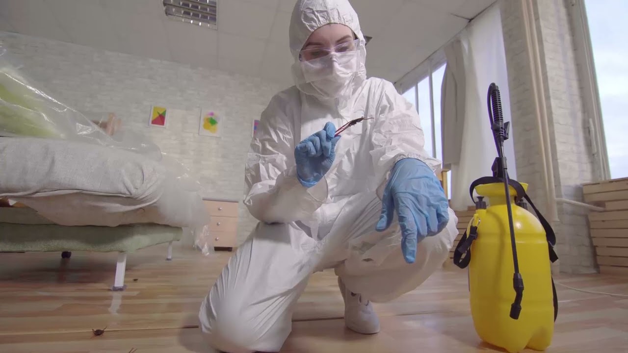 Local Extermination - Montreal Pest Control Company