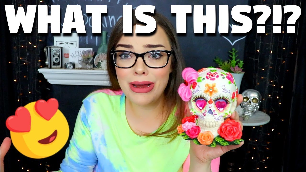 BIG RANDOM UNBOXING! Opening Subscriber Mail and PR Packages!