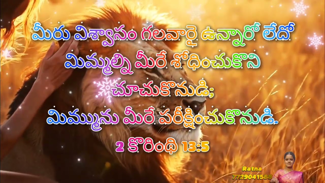 🙏 ఈరోజు దేవుని వాగ్దానము 📖Praise the Lord 🙏Today God's Word 📖| #dailyPromise#verseoftheday #godsword