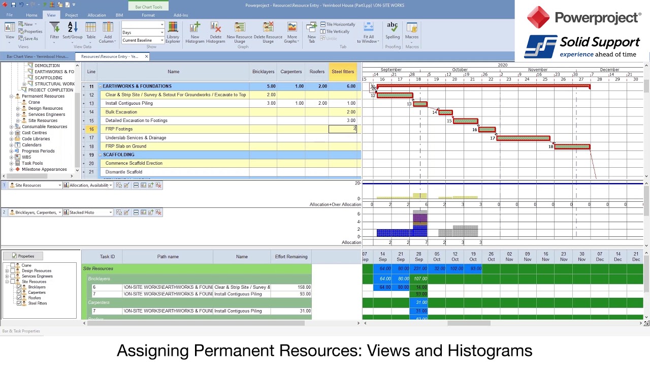 Powerproject Webinar 3.2 - Assigning Permanent Resources  Views and Histograms