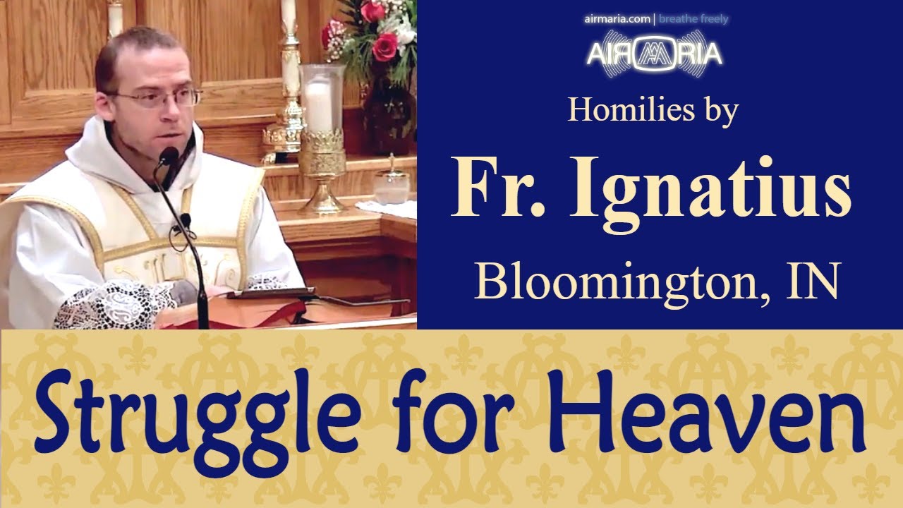 Patient Battles - Feb 14 - Homily - Fr Ignatius