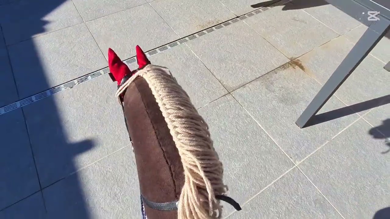 Video met Coffee en Lollie! Rijden, passen en proeven! 🤍 #Pintohobbyhorses 