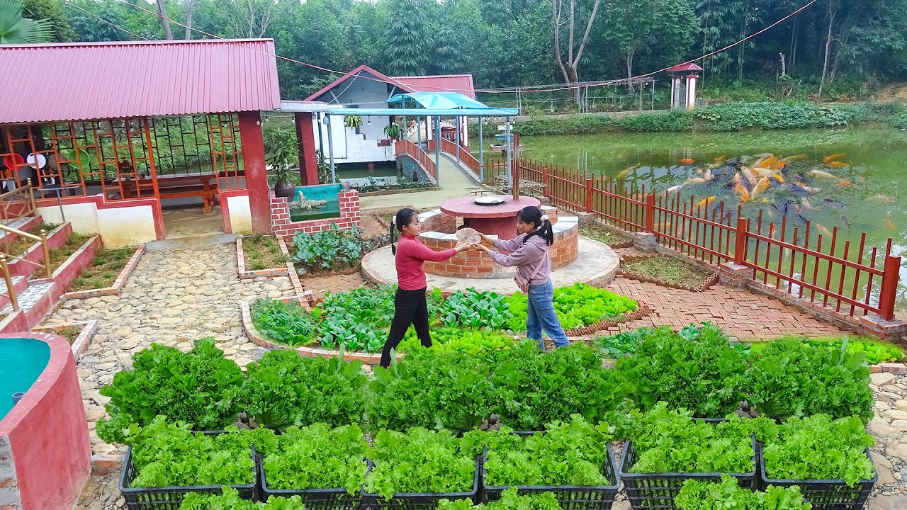 Harvesting Vegetables From The Farm For Sale After A Long Period of Care - Planting New Vegetables.