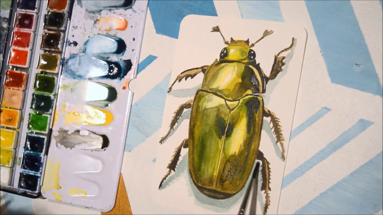 Watercolor Speed Painting ''Chrysina Boucardi '' | Beetle Series