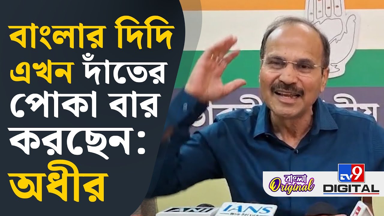 Adhir Ranjan Chowdhury on Mamata Banerjee: দিদির দরকার ভোট: অধীর | #TV9D