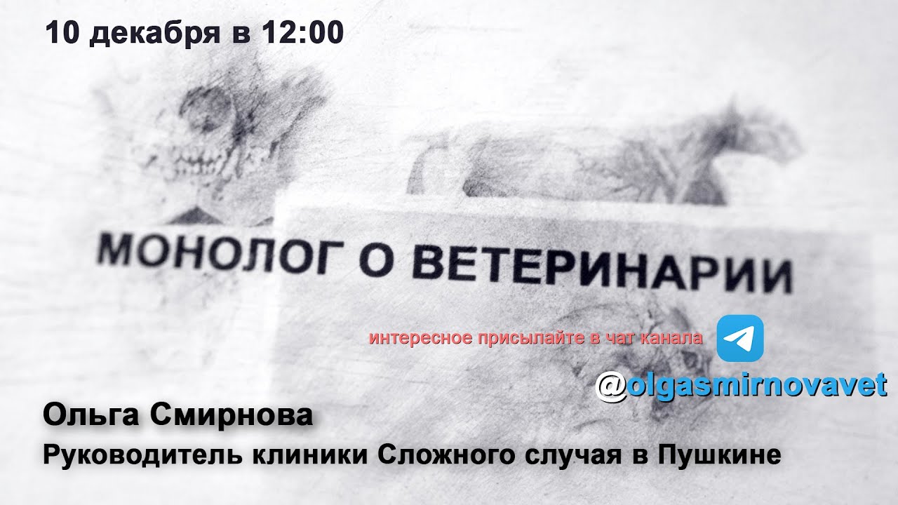 Монолог о ветеринарии #2