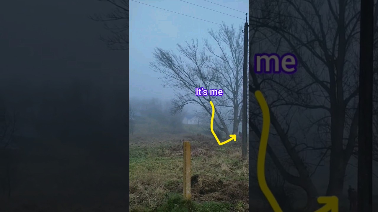 I felled a tree. Tik Tok video memes. Funny video #meme #2023 #tiktok #tree
