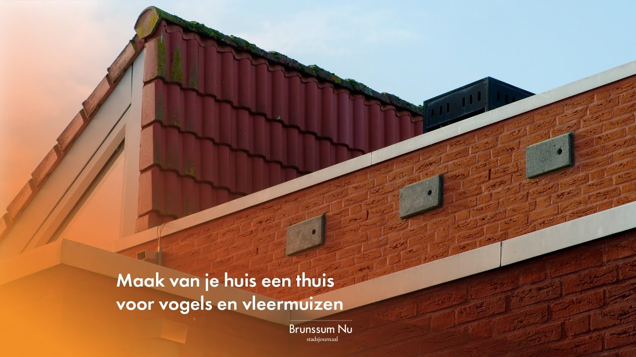 Maak van je huis een thuis voor vogels en vleermuizen