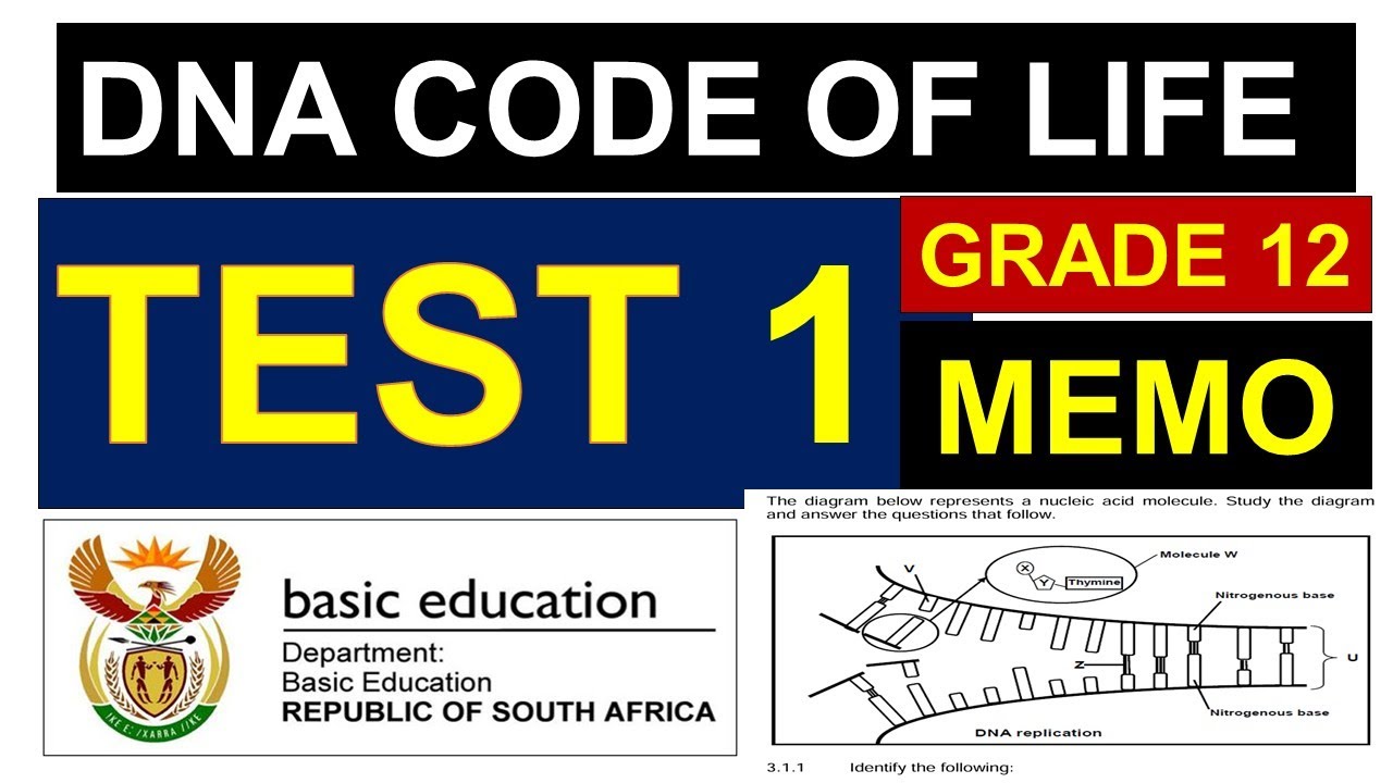 TEST 1 DNA CODE OF LIFE GRADE 12 LIFE SCIENCES, LIFE SCIENCES TEST 1 DNA CODE OF LIFE THUNDEREDUC