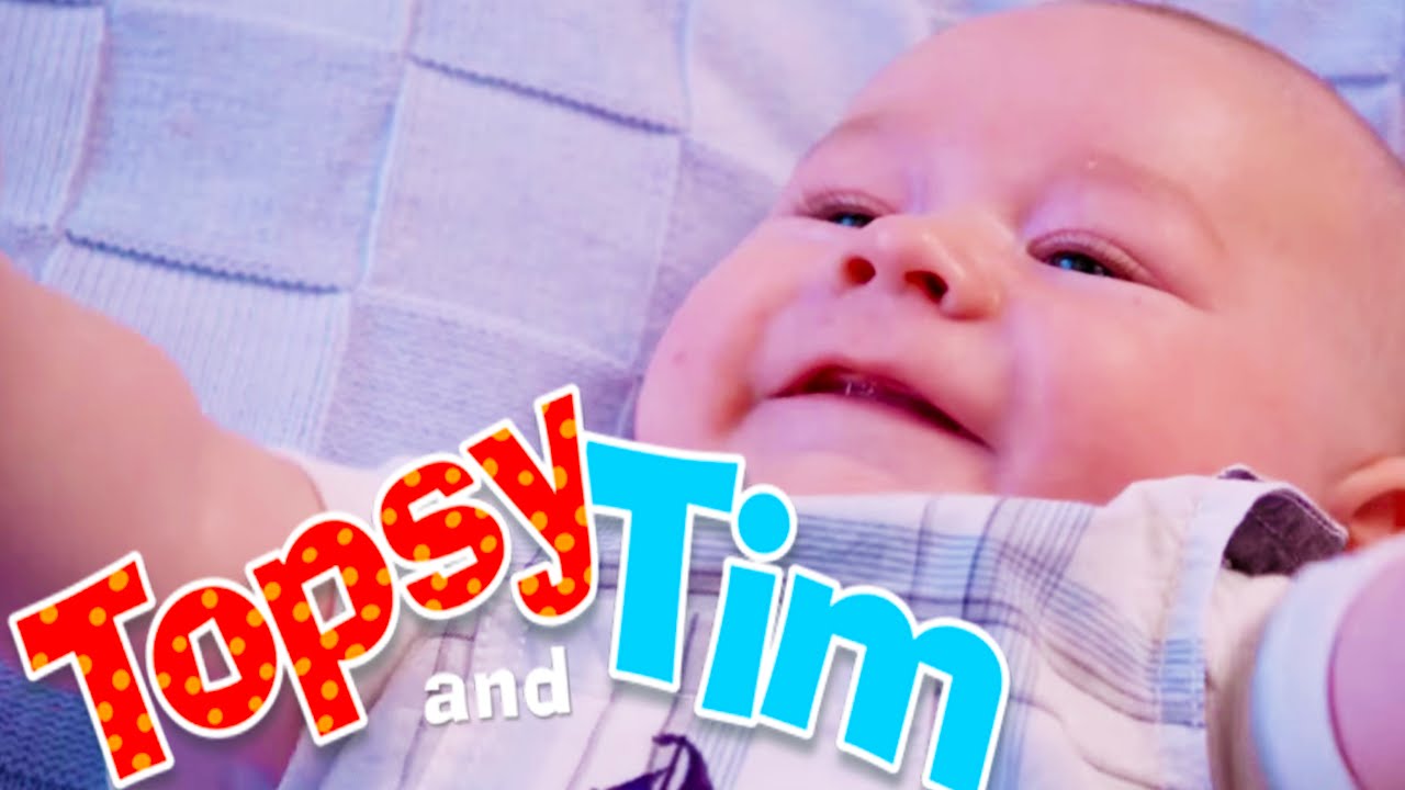 Topsy & Tim 127 - BABY JACK | Topsy and Tim Full Episodes