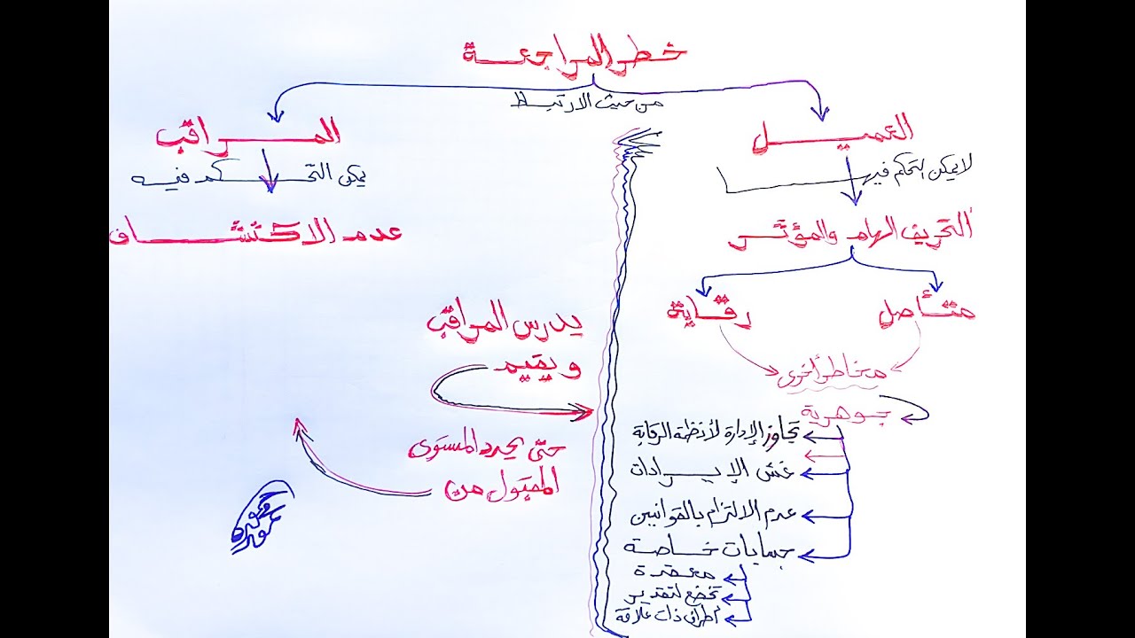 شرح خطر المراجعة | ملاحظات مراقب الحسابات