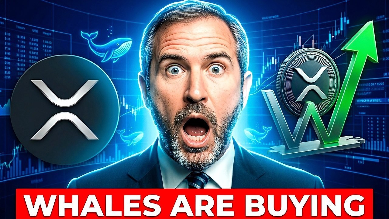 XRP NEWS TODAY: XRP Breakout Is Imminent Massive Whale Moves