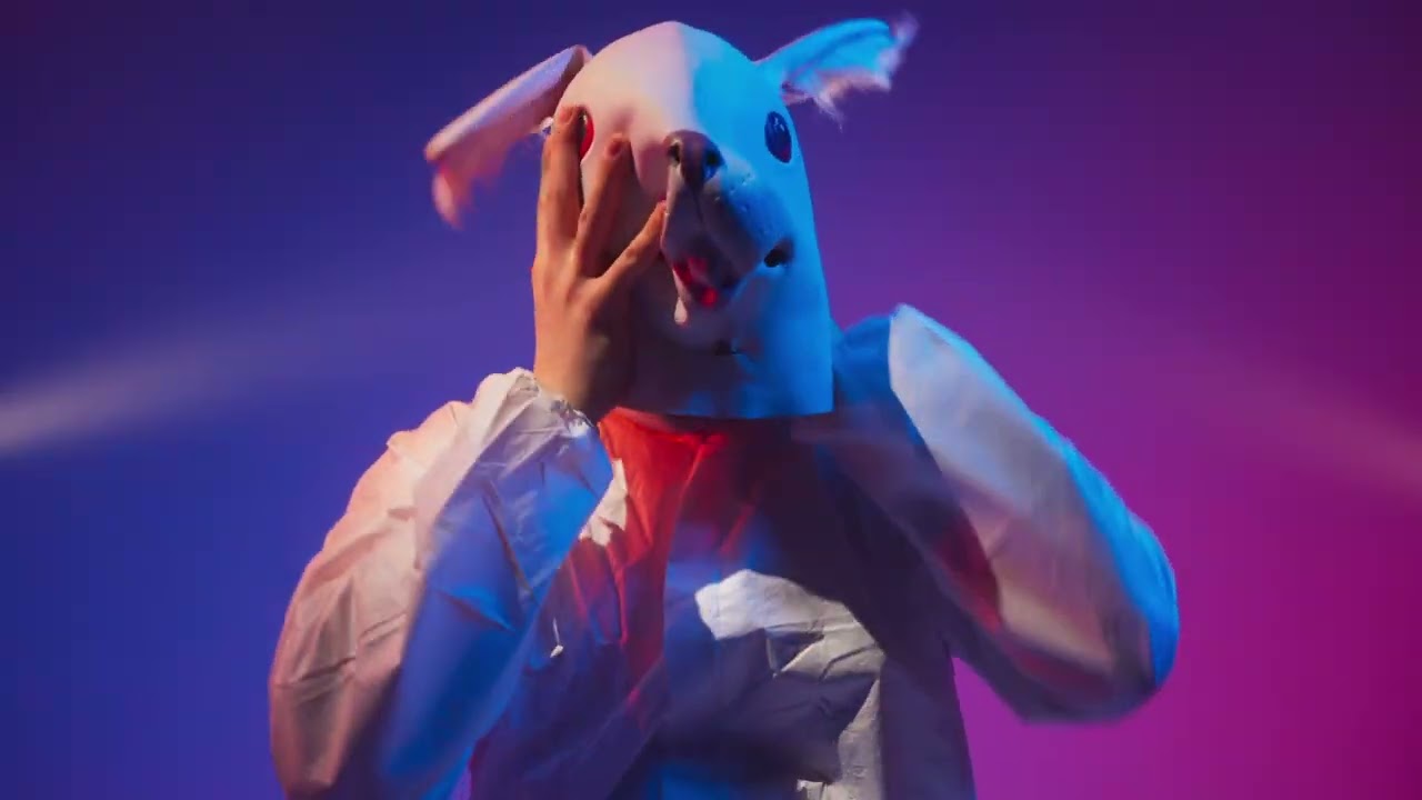 DUGARRY - TARANTULA (Official Video)