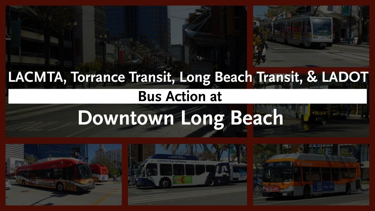 LBT, LA Metro, Torrance Transit, & LADOT Commuter Express Bus Action at Downtown Long Beach