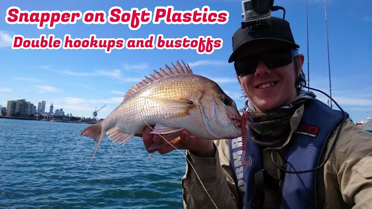 CRAZY soft plastics session on Port Melbourne Snapper