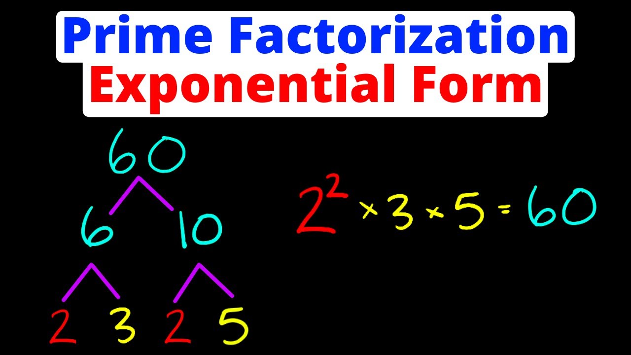 Writing Answers in Exponential Form | Prime Factorization | Eat Pi