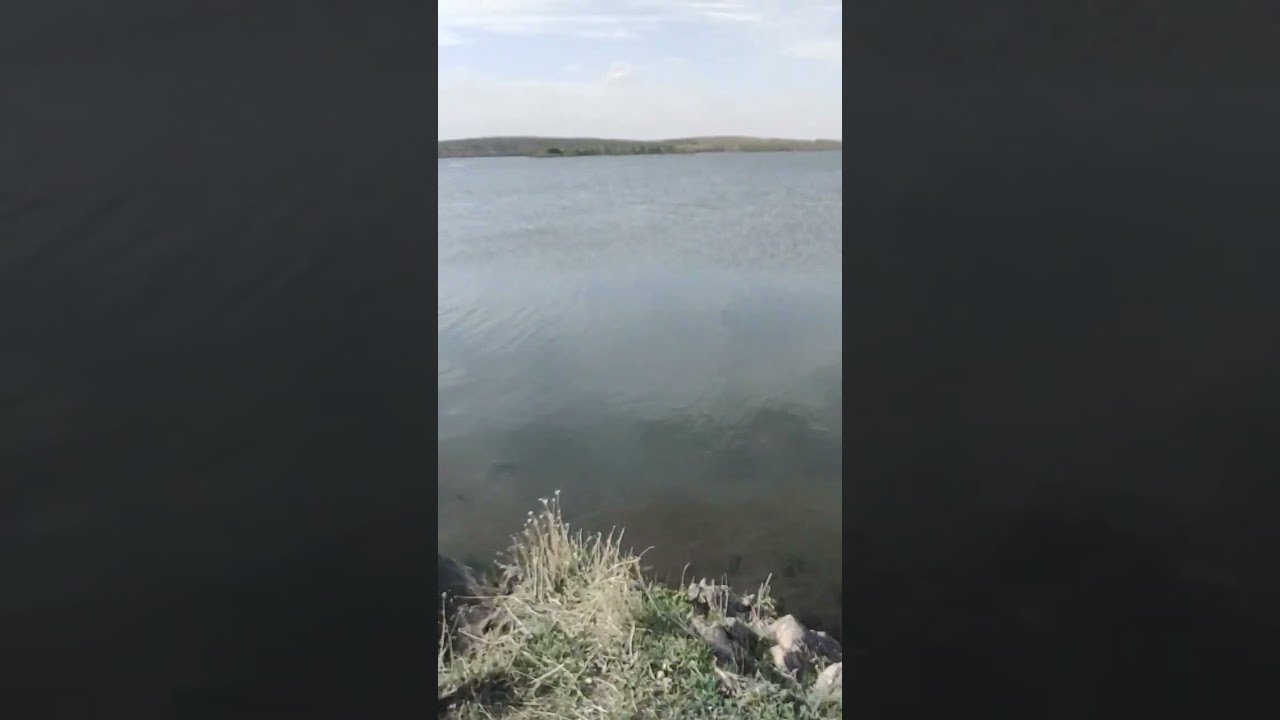 какой же он разный Южный Буг 😱дикие пляжи 😱 #находки #дикие пляжи#wild beach
