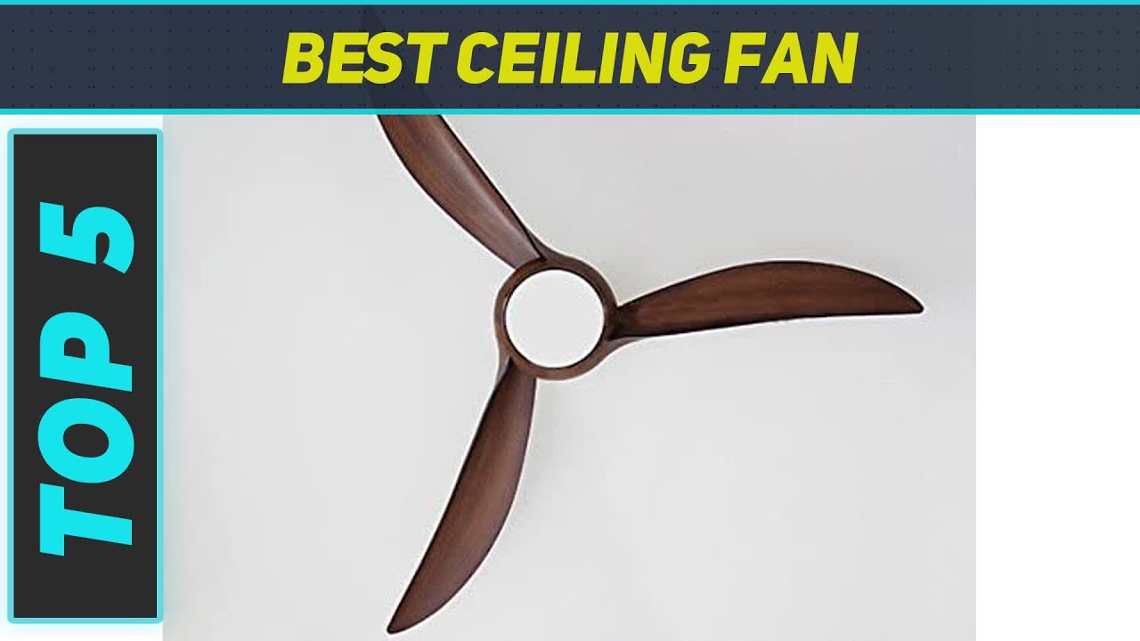 5 Best Ceiling Fan 2023