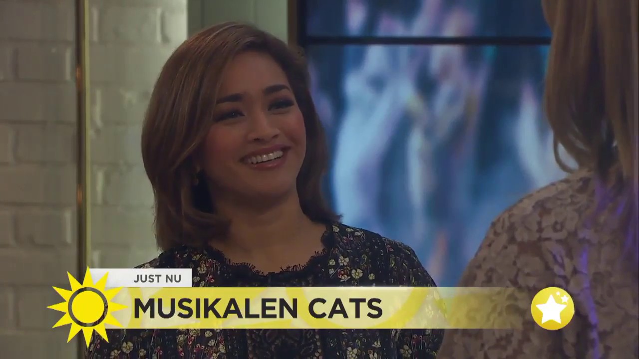 CATS | Joanna Ampil | Swedish TV | Memory