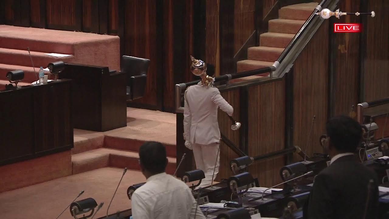 Parliament Live - 19.02.2026