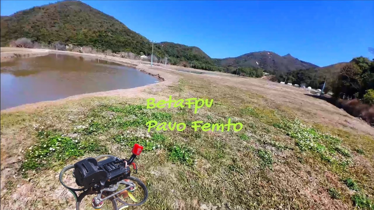 Pavo Femto ~ 穿越小溪