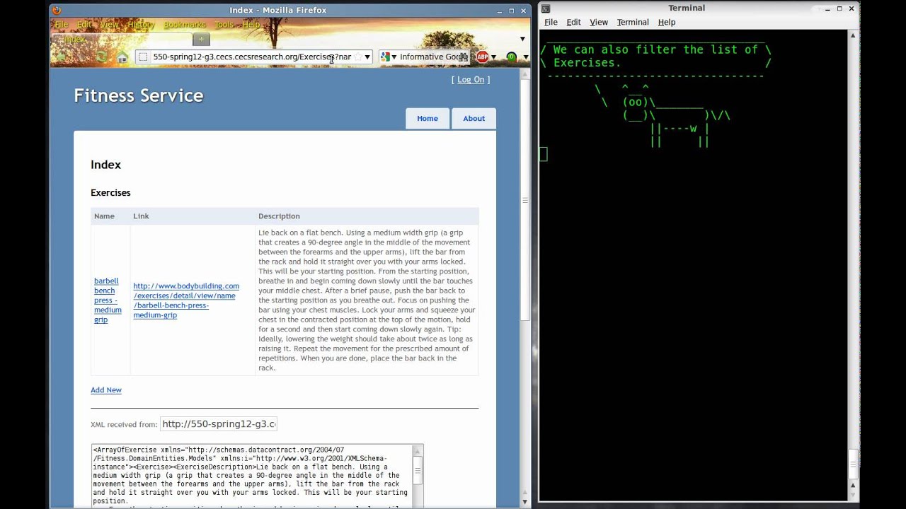FITful Web Service Demonstration