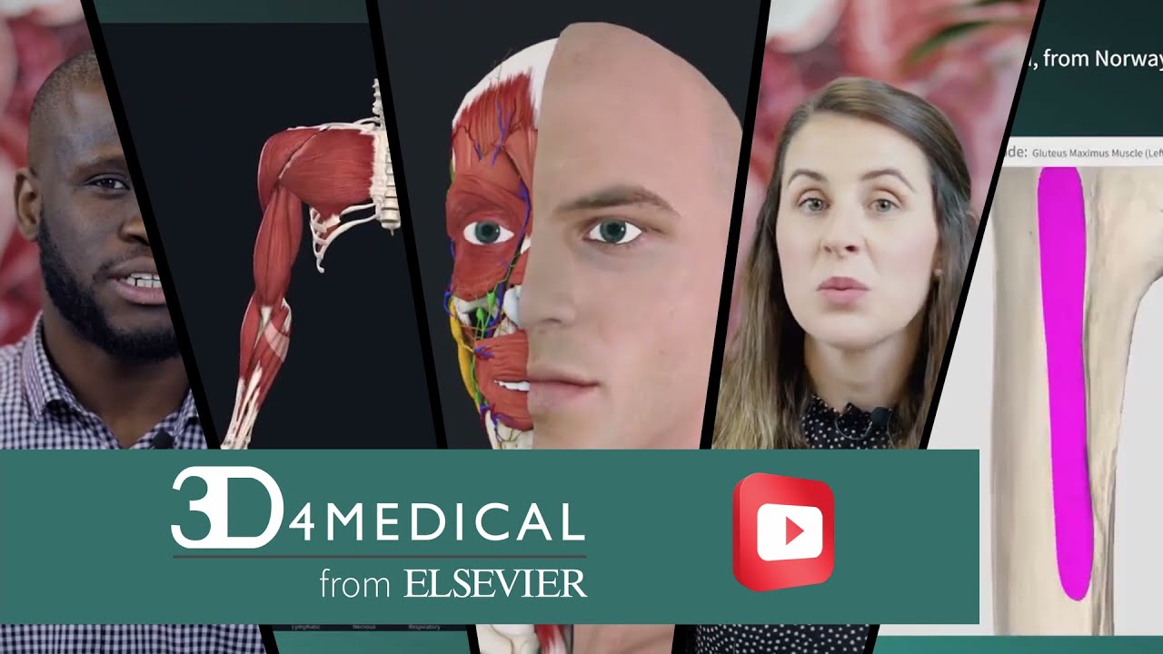 Welcome to the Complete Anatomy Youtube Channel!