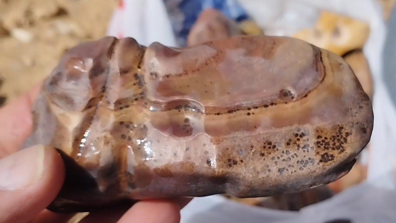 رحلة بحث عن الأحجار الكريمة فى صحراء مصر صائد العقيق وفريق مصر الغنى بالمعلومات Research  gemstones 