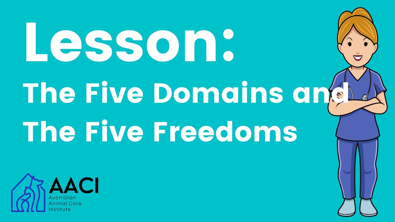 The Five Domains and The Five Freedoms