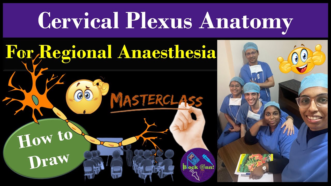 Memorizing Cervical Plexus Anatomy | Cervical Plexus Block | Made Easy | How to draw | Easiest way