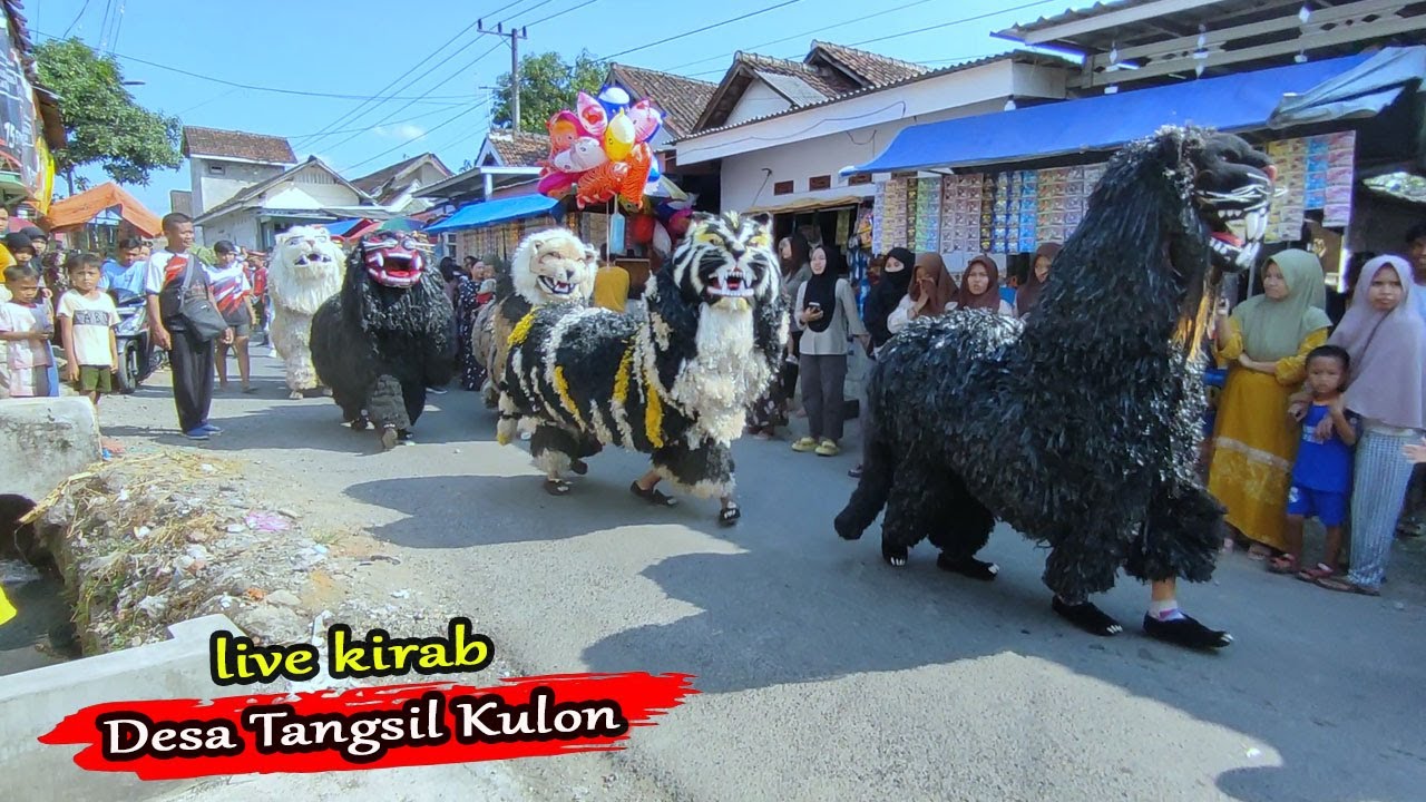 LIVE KIRAB MACAN BA LAKEK HAMDIANS DI DESA TANGSIL KULON