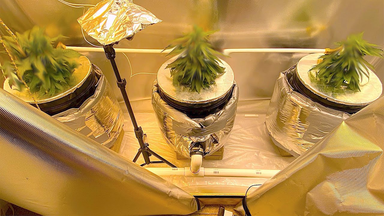 DIY DWC Hydroponics Setup Walkthrough (Recirculating - RDWC)
