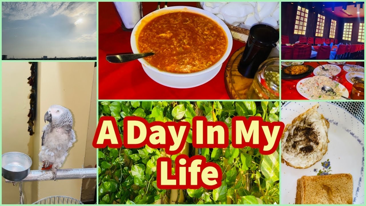 A Day In My Life | Meikong Chinese Restaurant Karachi | Afsheen Jahangir