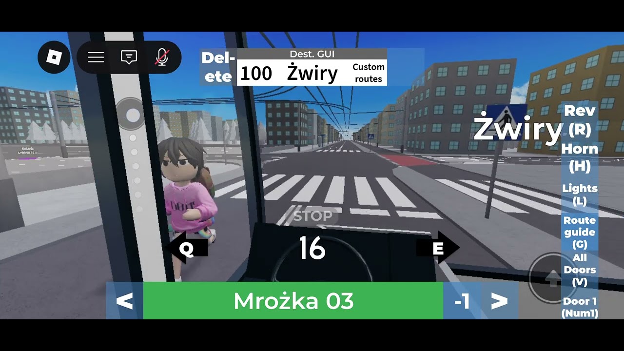Route 100: Rynek Główny to Żwiry