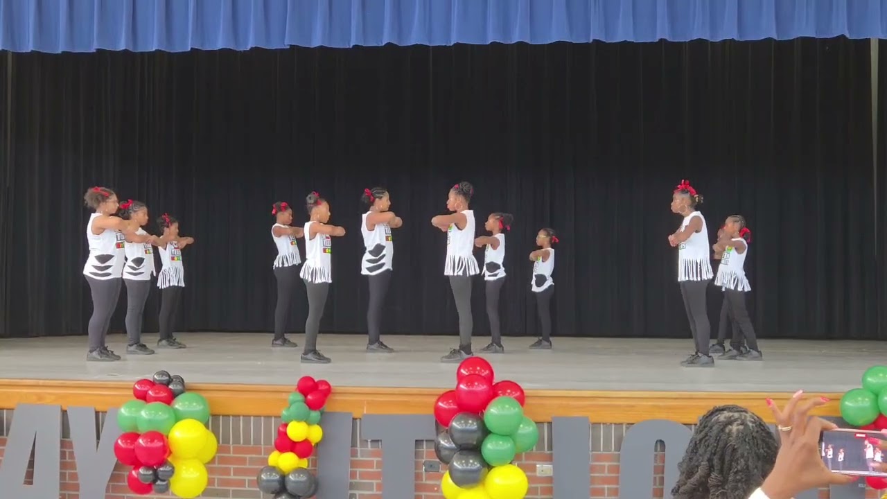 WTTS STEP TEAM performance at Stephenson Middle School Black History Expo!