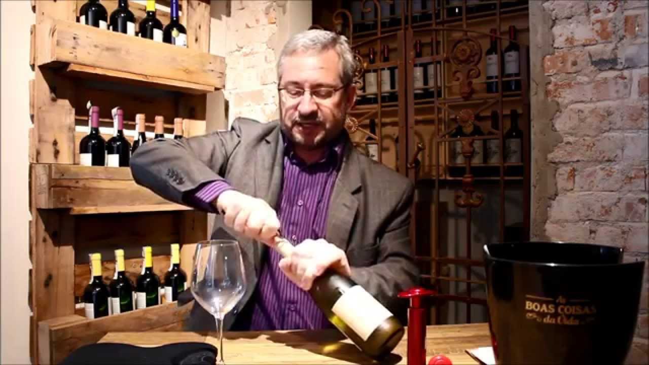 VINHOS | Dicas de acessórios para vinhos
