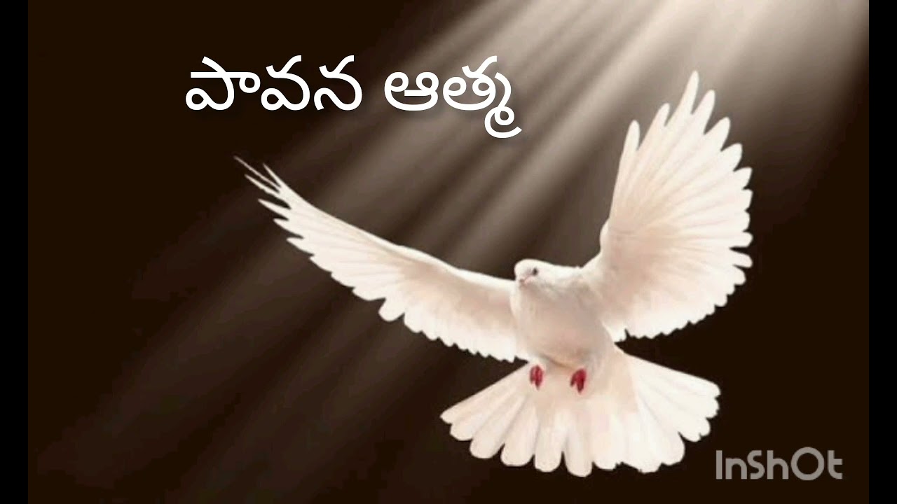 పావన ఆత్మ