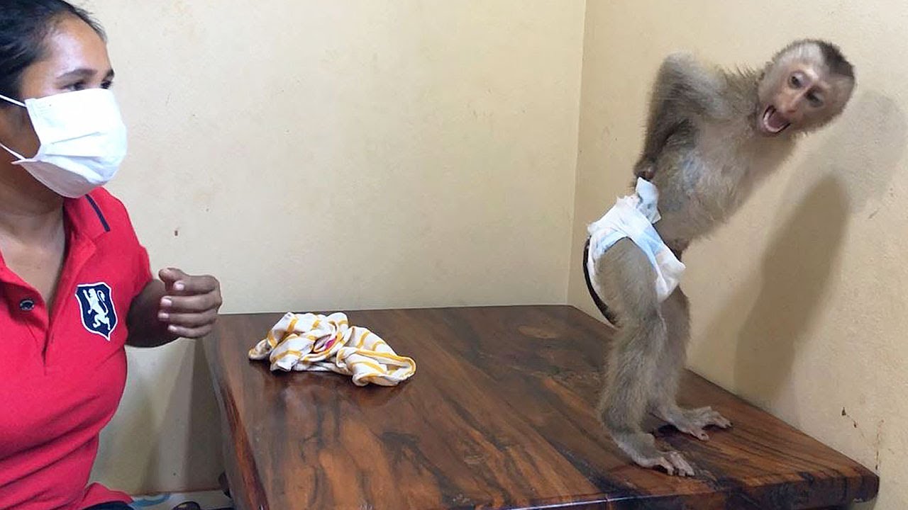 Clever Jason Curious Surprising Want Chat With Mom Without Mask