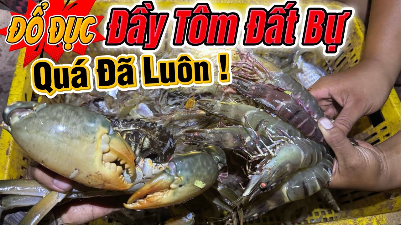 Đêm Đổ Đục Đầy Tôm Đất Cồ, Thưởng Thức Cua Kình Ốp Sộp Và Nồi Cá Liệc Kho Khô