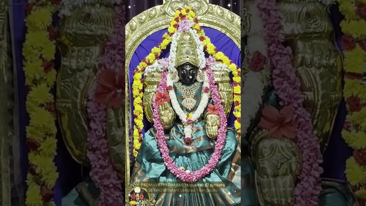 🕉️ Padmavathi Thayar பத்மாவதி தாயார் 🆕 Alamelu Manga | Ammavaru | Suprabhatam #divyahdarshan