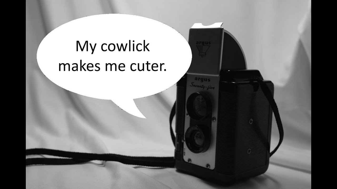 Introduction to the Argus Seventy-five (Argoflex Seventy-five and Argu 75)