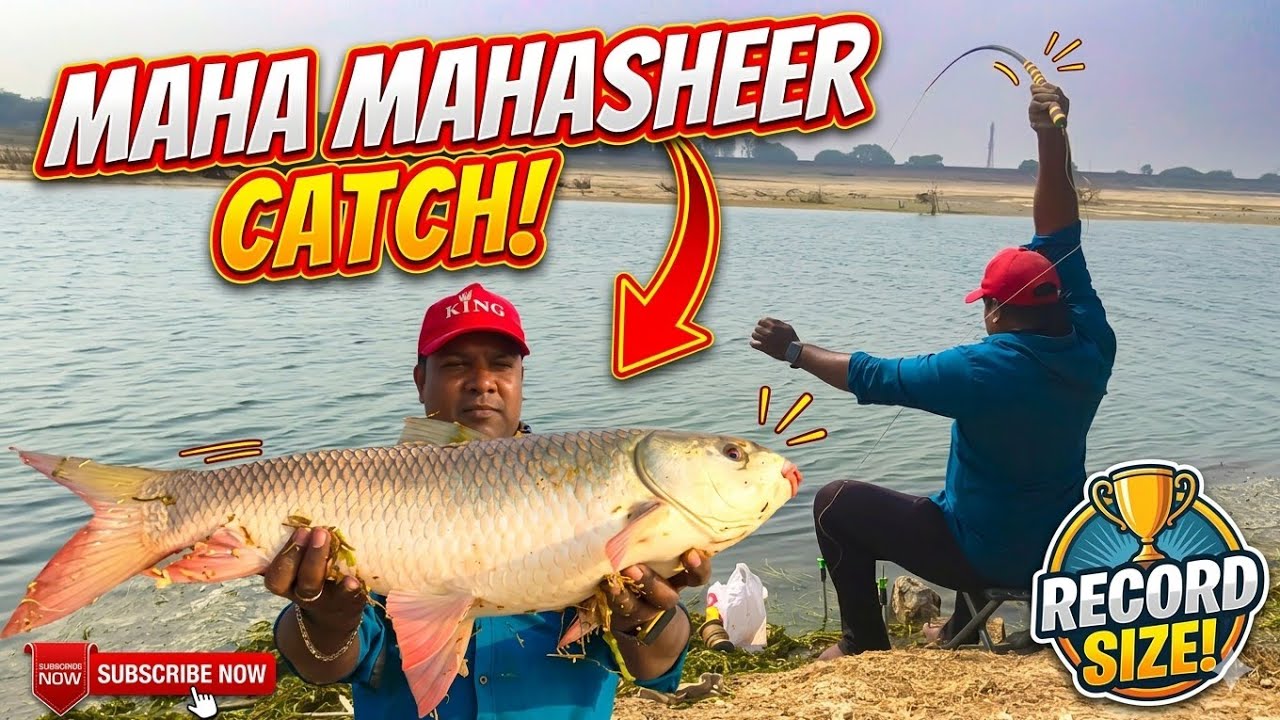 Big fish catching videos | rivar fishing techniques | catching fish in river