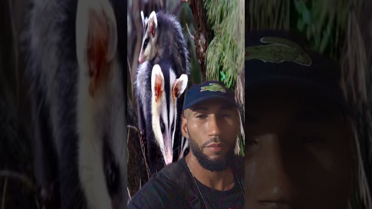 Voc&ecirc; come esse ensopado? #viral #bahia #fy #comedia #gargalhadas #risos #fypシ #historia #memes