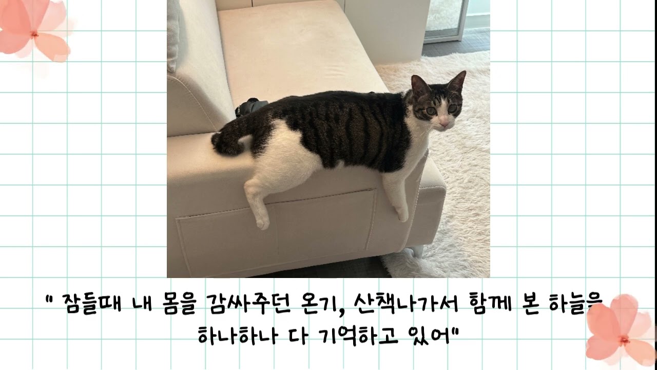 라이